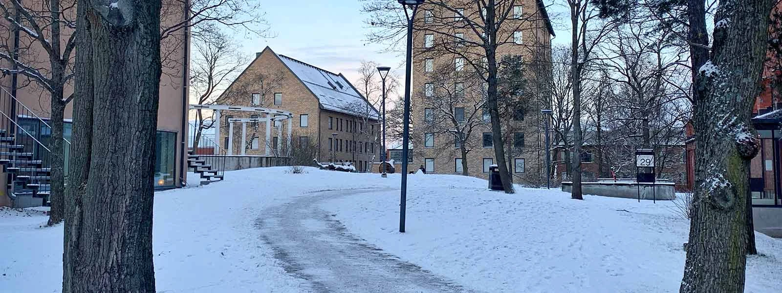 Oil pan heater saves engines in cold winter.