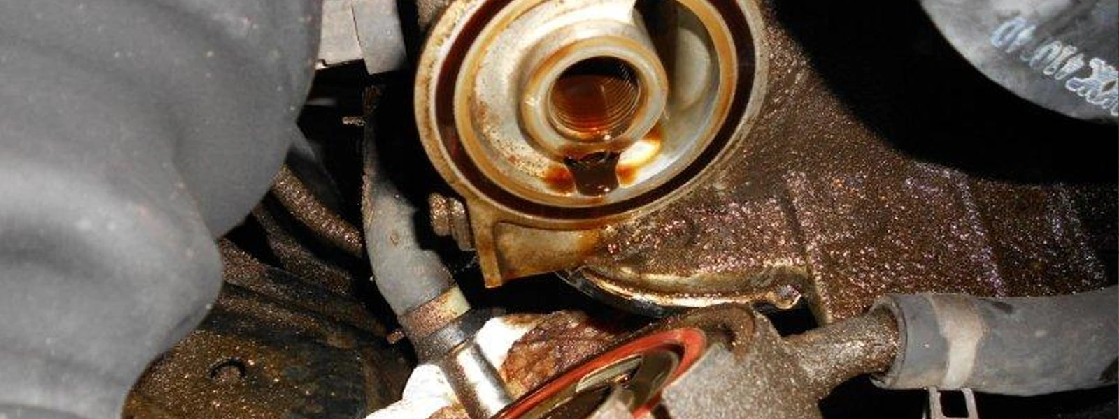 Oil Filter Housing Leak