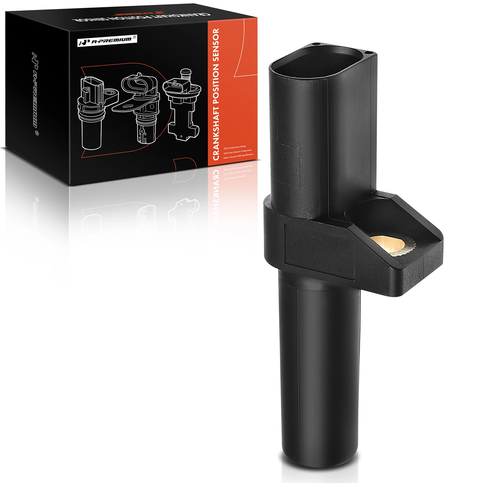 Crankshaft Position Sensor