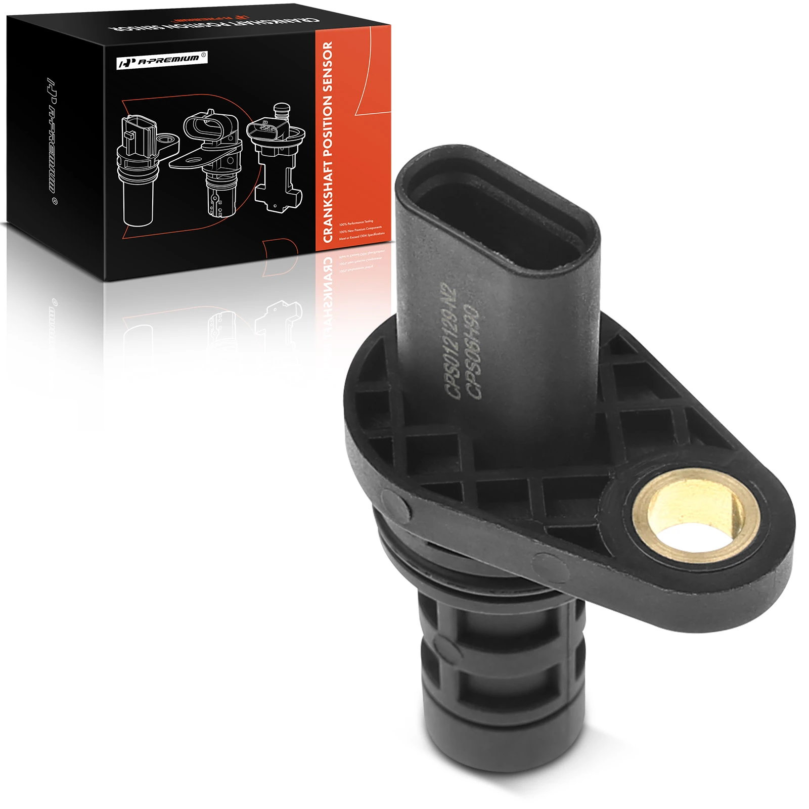 Crankshaft Position Sensor