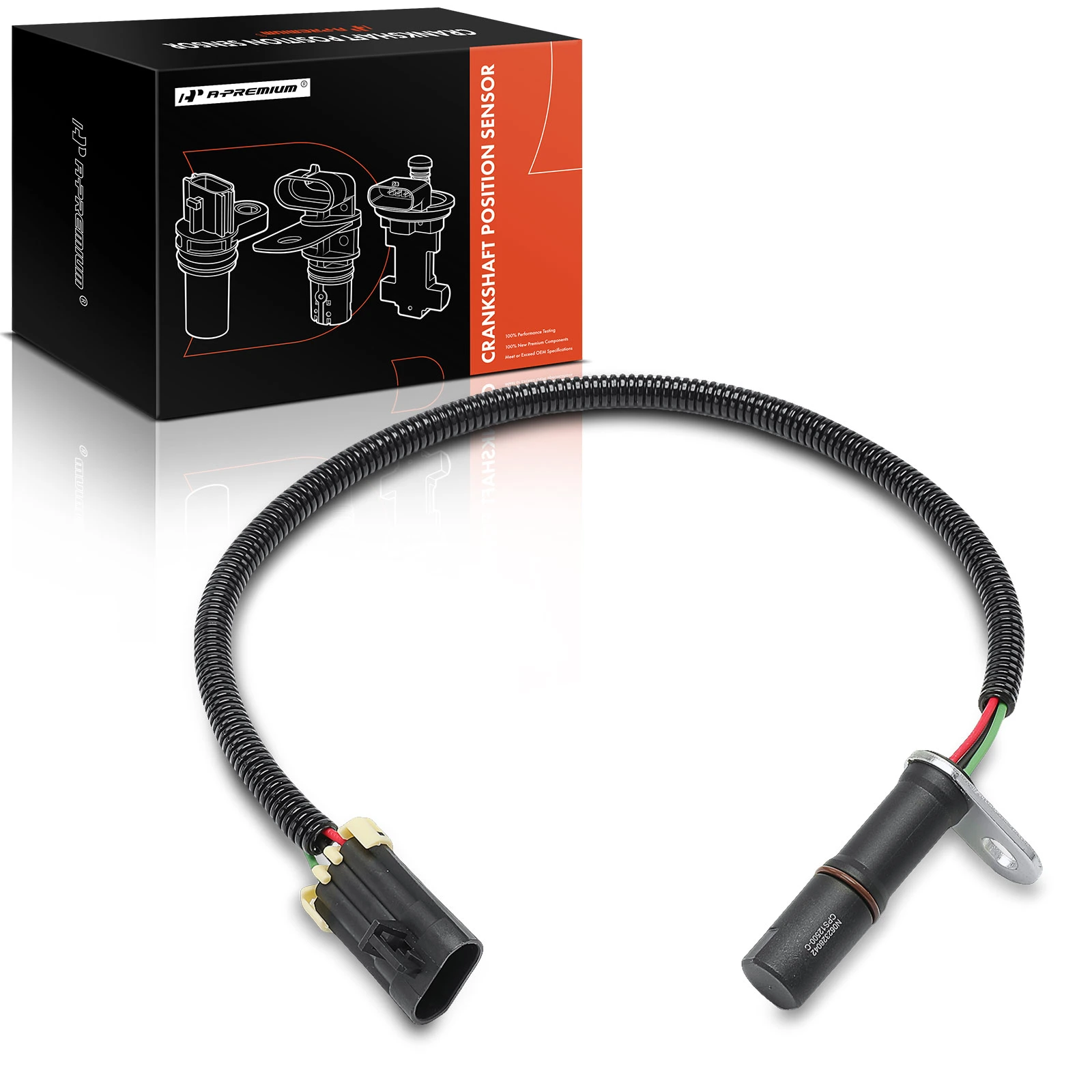 Crankshaft Position Sensor