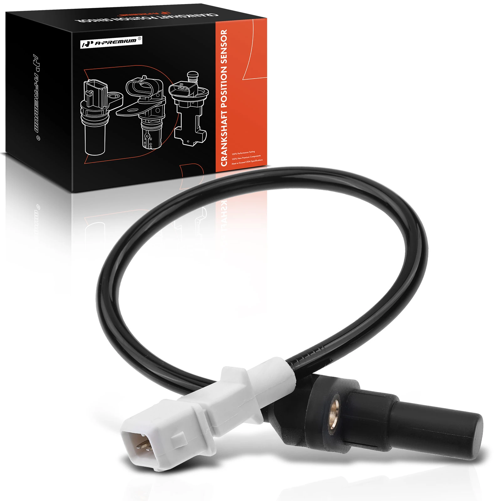 Crankshaft Position Sensor