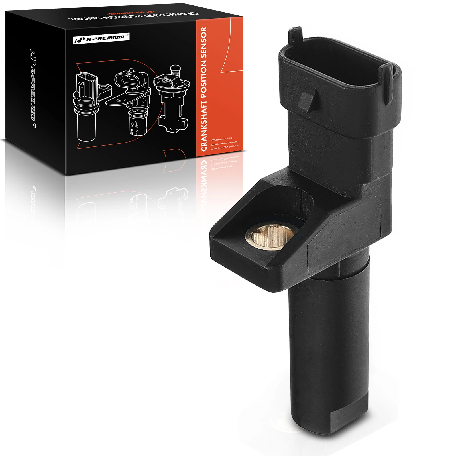 Crankshaft Position Sensor