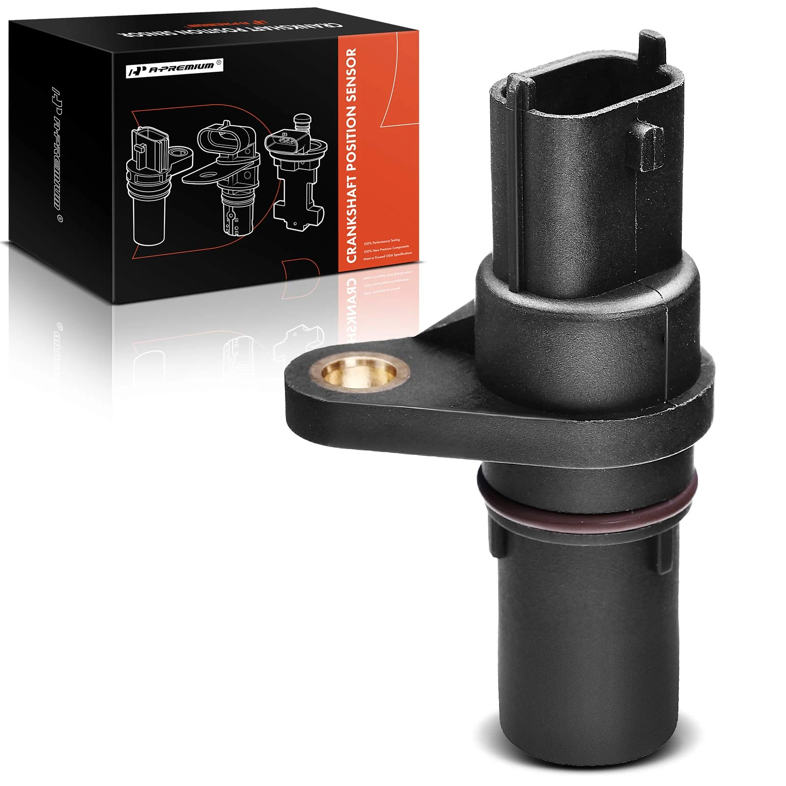 Engine Crankshaft Position Sensor