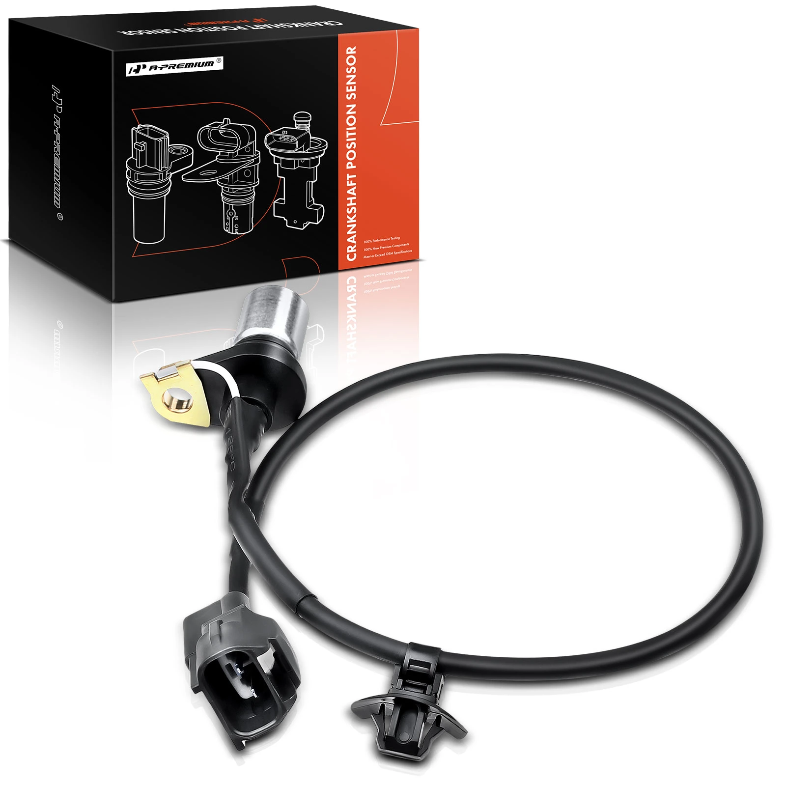 Crankshaft Position Sensor