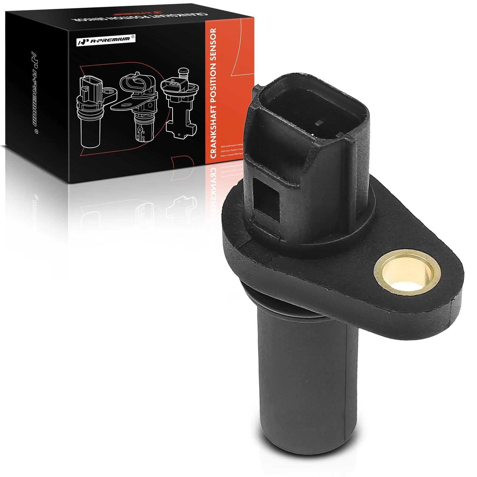 Engine Crankshaft Position Sensor