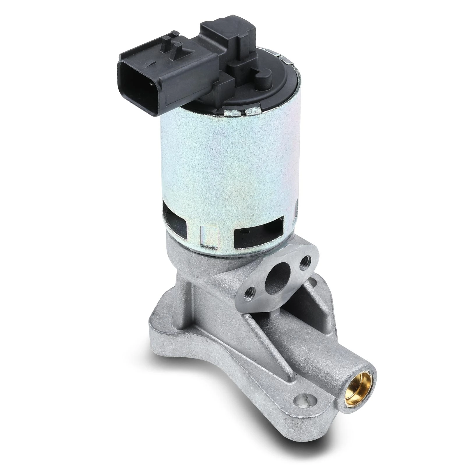 Exhaust Gas Recirculation (EGR) Valve