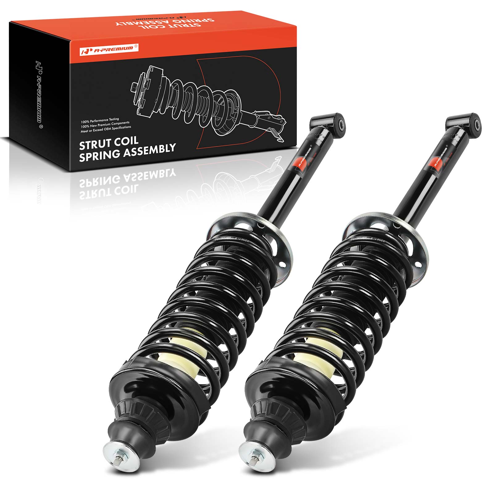 2 Pcs Rear Complete Strut & Coil Spring Assembly