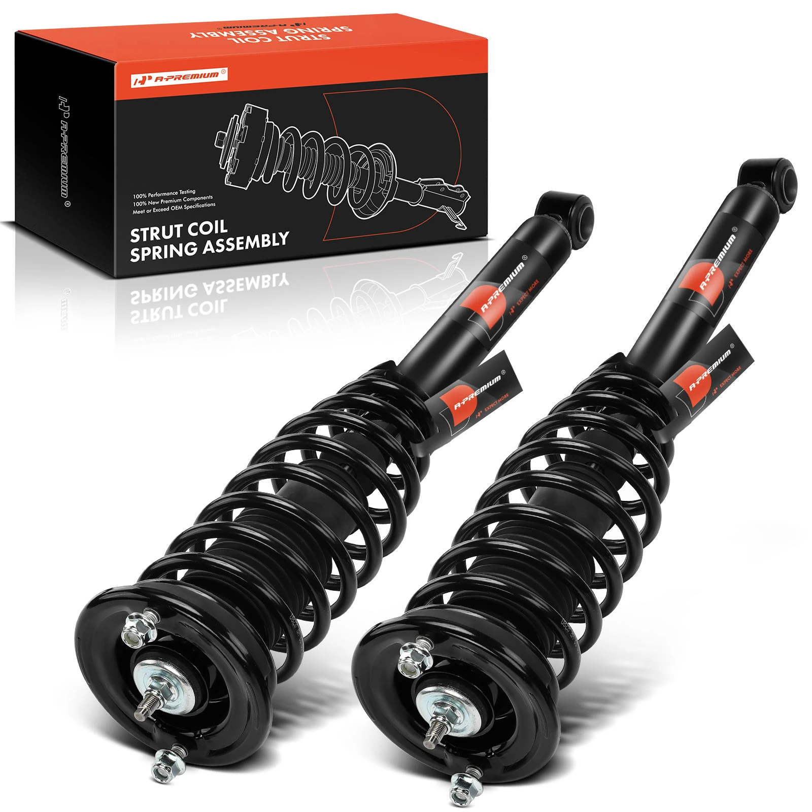 2-Pc Complete Strut + Coil Spring, Rear Driver & Passenger, A-Premium APSA0246