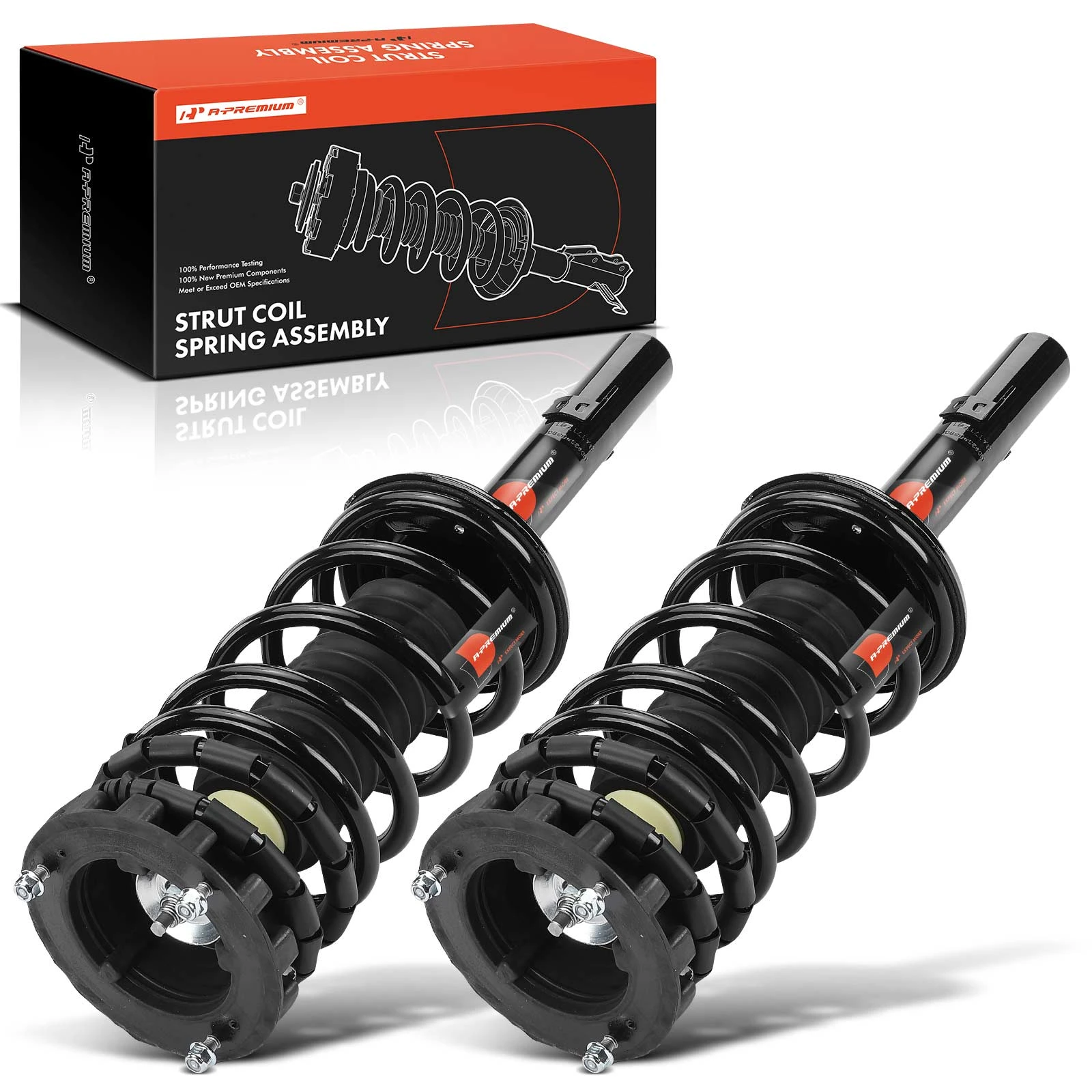 2 Pcs Rear Complete Strut & Coil Spring Assembly