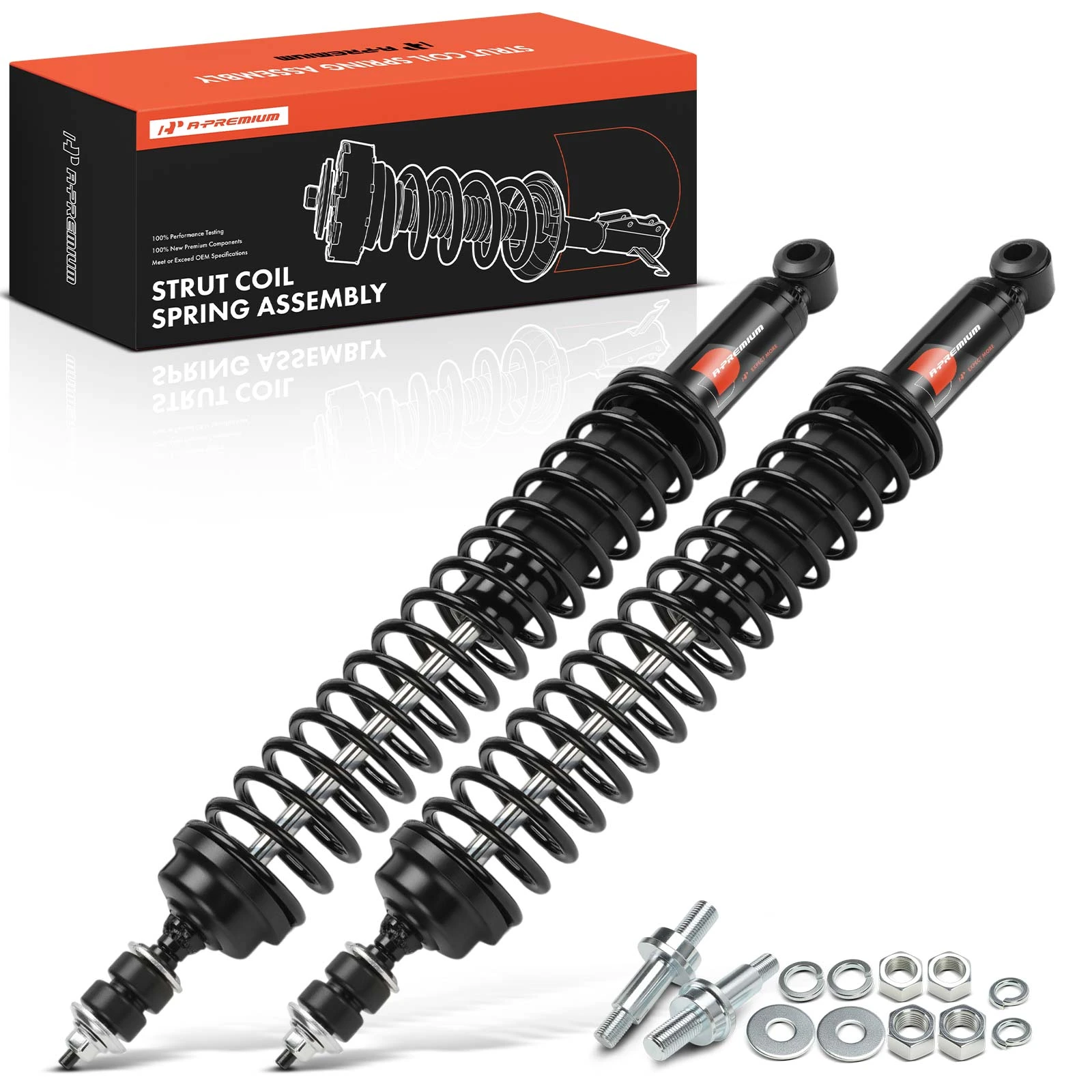 2 Pcs Rear Complete Strut & Coil Spring Assembly