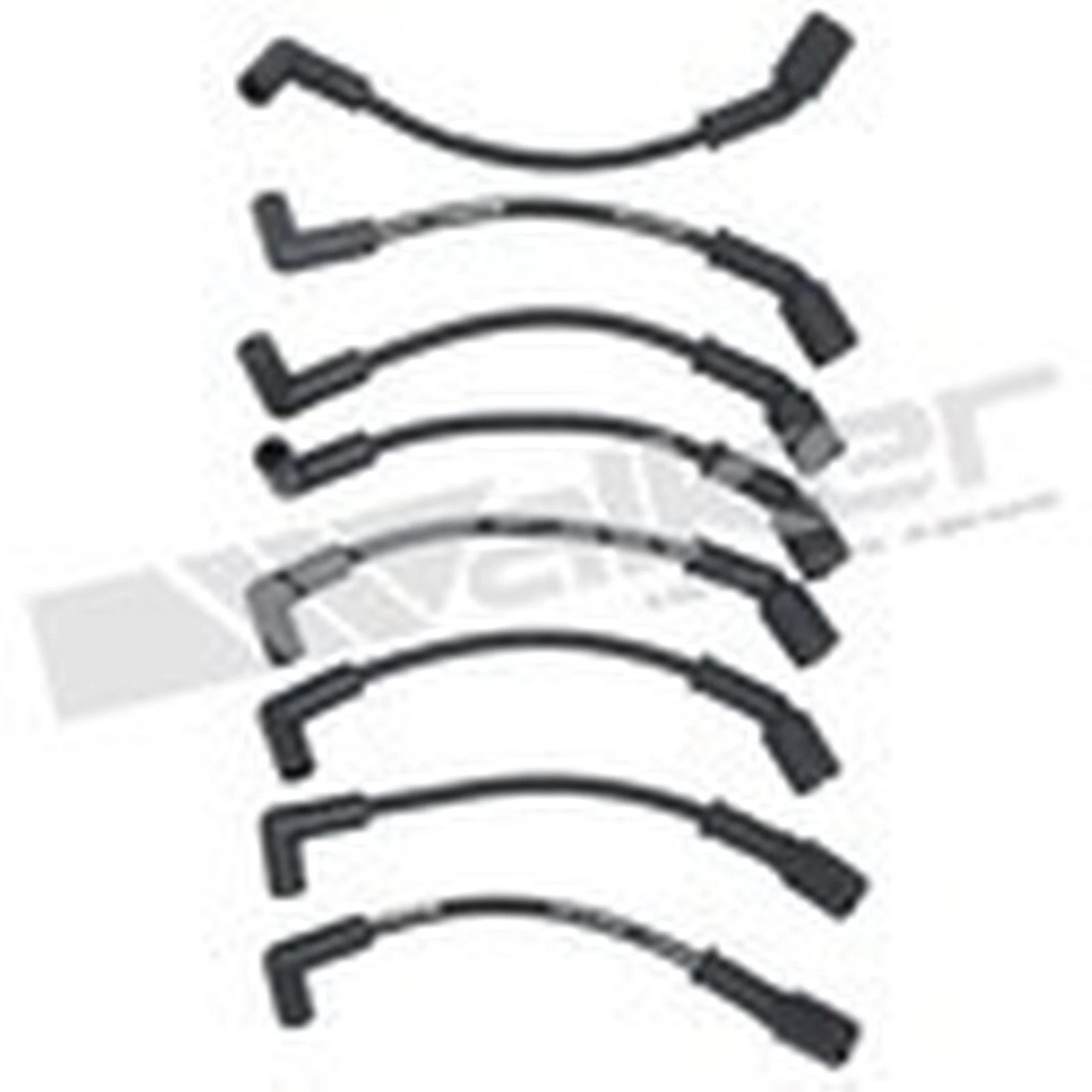 Walker Products 924-6002 Spark Plug Wire Set