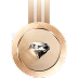 A-Premium Member Icon